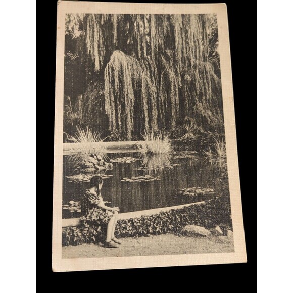 Vintage Russian Postcard 1960 Pond Willow Tree Young Girl Lily Pads Message - Picture 1 of 9